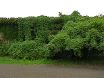 1 base building side.jpg